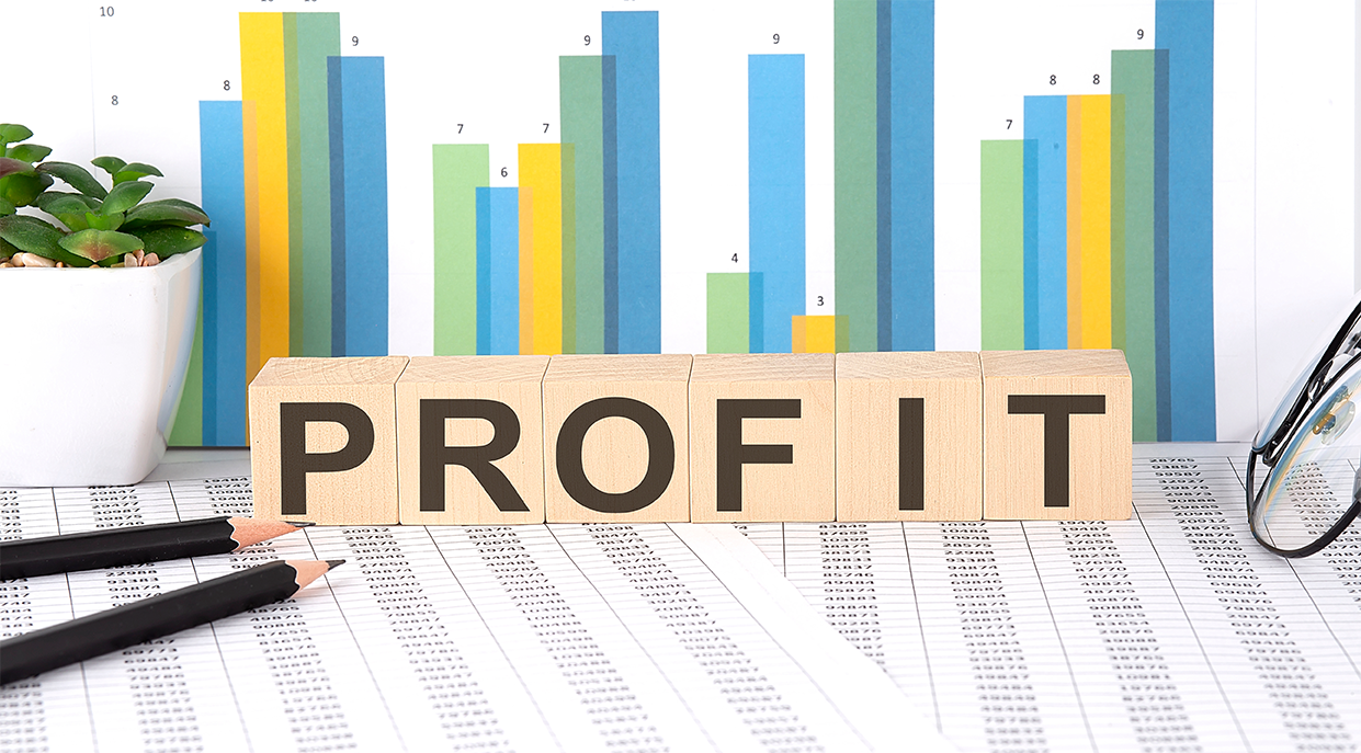 How Do Nonprofits Make Money? Making Nonprofits Profitable